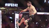 Khabib là Vua của làng MMA với thành tích 28 trận bất khả chiến bại