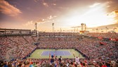 WTA Rogers Cup 2020 bị hủy