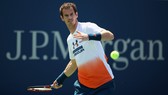 Tay vợt nổi tiếng Andy Murray rất sành điệu bóng đá. Ảnh: Getty Images.