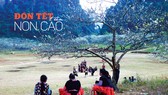 Đón Tết trên non cao