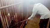 One subject in illegal tiger raising case arrested, prosecuted