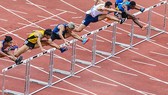 Chung kết nội dung 100 m rào nam. Ảnh: Dũng Phương