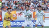 Trung vệ Ahn Byung Keon cùng hàng thủ Bình Định sẽ có trận đấu vất vả ở vòng 11