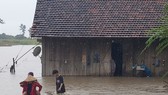 Mưa lớn gây ngập hàng ngàn hécta hoa màu ở Đắk Lắk