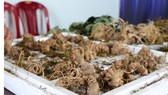 Bắt vụ vận chuyển các loại củ “đội lốt” sâm Ngọc Linh Kon Tum sau 2 tháng mật phục