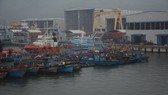 Đà Nẵng, Thừa Thiên-Huế yêu cầu người dân không ra khỏi nhà bắt đầu từ trưa 14-11