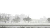 Quảng Bình mưa trắng trời, Huế cây cối ngã đổ