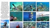 450 tác phẩm tham gia Cuộc thi Sáng tác Ảnh năm 2020 với chủ đề “Đà Nẵng - Hành động vì thiên nhiên”