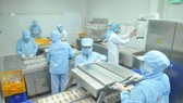 Chế biến trứng cút phá lấu tại Công ty CP Thực phẩm Vĩnh Thành Đạt. Ảnh: CAO THĂNG