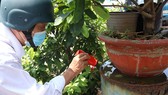 Cán bộ y tế phường Tân Quý, quận Tân Phú kiểm tra công tác phòng chống sốt xuất huyết tại hộ dân trên địa bàn. Ảnh: THÀNH AN