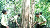 Từ chiến khu đến chiến khu - Bài 4: Ba thế hệ đảng viên cùng giữ rừng