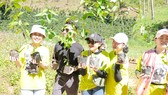 Nhân viên một doanh nghiệp ở TPHCM nhận cây giống miễn phí từ chị Phan Diệu Linh