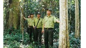 Rong ruổi chiến khu Đ