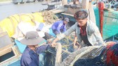 Ngư dân Bà Rịa - Vũng Tàu vận chuyển lưới lên tàu chuẩn bị cho chuyến mở biển đầu năm