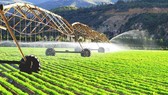 Một trang trại nông nghiệp ở Kazakhstan
