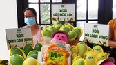 Nhiều diện tích xoài ở Đồng Tháp trồng theo tiêu chuẩn VietGAP có truy xuất nguồn gốc, cấp mã vùng trồng. Ảnh: HUỲNH LỢI