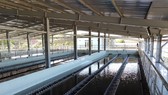 Dawaco đề nghị được tăng giá bán nước sạch