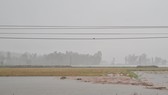 Một số khu vực có nguy cơ mất mùa do lúa bị ngâm trong nước quá lâu