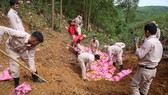 Gần 20 chuyên gia, cán bộ, nhân viên thuộc dự án Nhóm cố vấn bom mìn Anh (MAG) tham gia hủy nổ quả đạn pháo