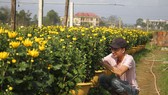 Làng hoa An Lạc hối hả vào vụ tết