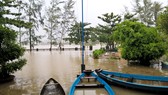 Bình Định - Phú Yên: Mưa lũ tiếp tục hoành hành, nhiều địa phương chìm trong "biển lũ"
