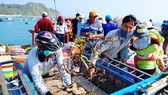 Tết theo những con tàu ra đảo Nhơn Châu