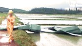 Trận lốc xoáy cuốn phá hàng loạt nhà dân, công trình, trụ sở