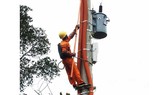 Đóng điện lưới cho 300 hộ dân Ba Na ở miền núi Bình Định