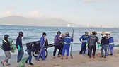 Cá chết hàng loạt dạt vào bờ biển Đà Nẵng