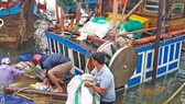 Trục vớt hai tàu cá bị sóng đánh chìm