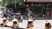 Làm rõ hành vi tụ tập hoá trang thành “ăn xin” tại Hội An