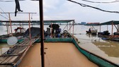 Sà lan tông chìm 2 bè cá trên sông Tiền