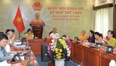 Đoàn Đại biểu Quốc hội TPHCM họp trực tuyến tại kỳ họp thứ 9 Quốc hội khóa XIV sáng 21-5. Ảnh: VIỆT DŨNG