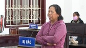 Lãnh án 13 năm tù về tội lừa đảo hơn 11 tỷ đồng