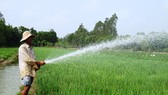 ĐBSCL: Xâm nhập mặn có xu thế giảm, nhưng vẫn ở mức cao