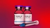 Những kẻ lừa đảo đang tiếp tục lợi dụng chủ đề bệnh dịch, cụ thể hơn là tiêm chủng để lấy thông tin các nhân