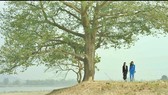 Bức tranh đồng quê đầy màu sắc với “Mùa hoa tìm lại“