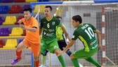 ĐT futsal Việt Nam đã có chuyến tập huấn tại Tây Ban Nha nhằm chuẩn bị cho giải lần này. Ảnh: Anh Trần