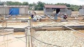More than 5,000 tons of fish damaged by floods in Dong Nai Province