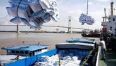 South Korea is a new market for Vietnamese rice this year. (Photo: SGGP)