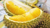 Cai Mon durians granted geographical indications