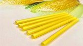 Bioplastic start-up begins green journey