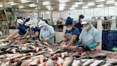 Many Vietnamese seafood exporters not subject to US anti-dumping tariffs