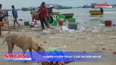 Điểm tin SGGP Online ngày 21-9-2019