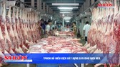 Điểm tin SGGP Online ngày 15-11-2019