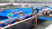 Sửa đổi quy định để chế ngự cát tặc