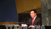 Deputy Prime Minister and Foreign Minister Pham Binh Minh (Photo: VNA)