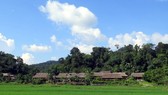 Culture - tourism village in Tan Trao commune (Photo VNA)