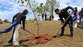 First cherry blossom trees are planted on Langbiang mountain.