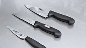 Khởi tố, bắt tạm giam 2 thiếu niên đâm cụ bà, cướp tài sản